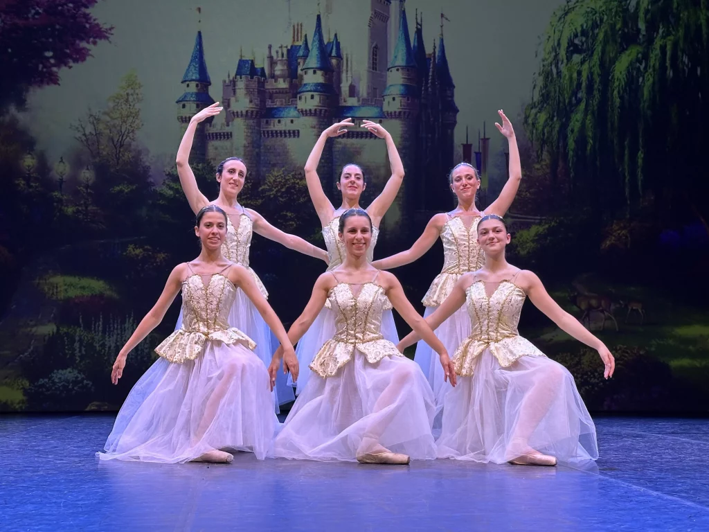 Le damigelle di Cenerentola